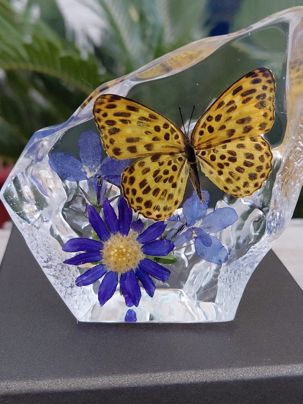 Decorative Yellow Butterfly Home Art Accent